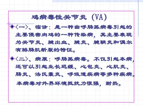 病毒性关节炎
