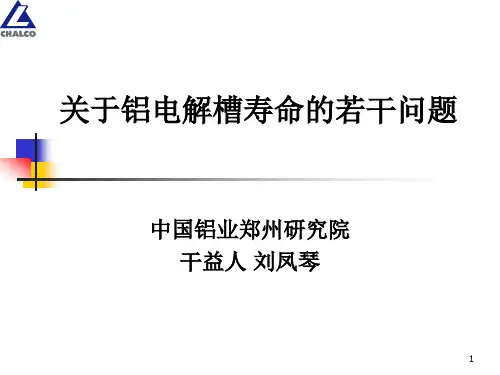 电解槽寿命管理