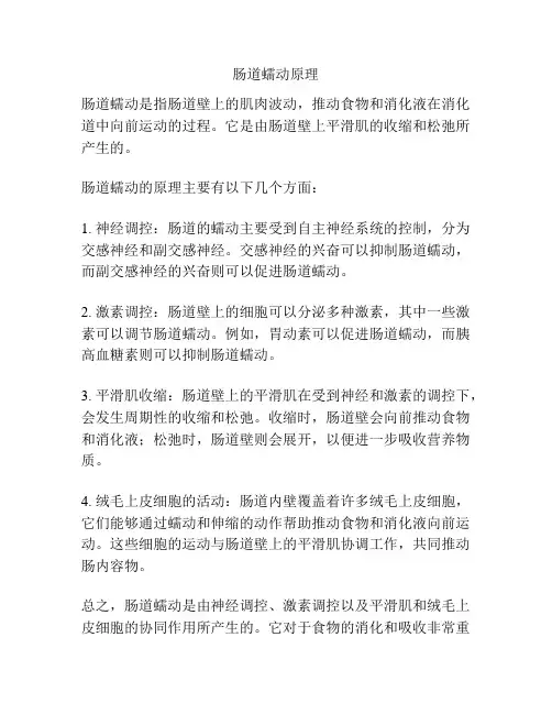 肠道蠕动原理