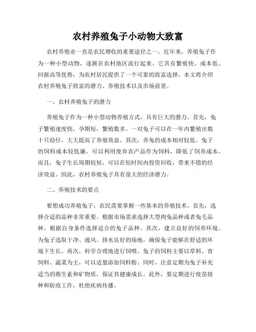 农村养殖兔子小动物大致富