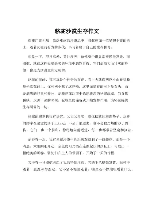 骆驼沙漠生存作文