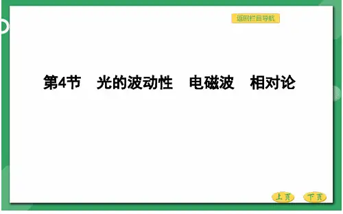 高三物理总复习优质课件光的波动性电磁波相对论