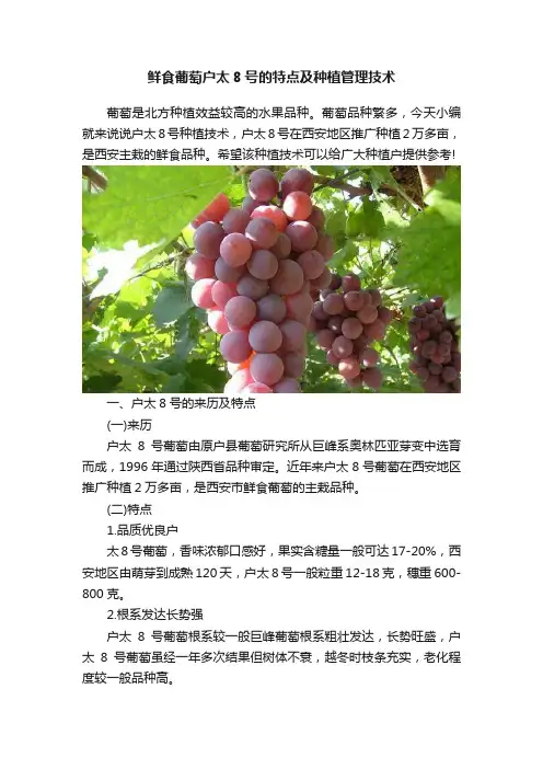 鲜食葡萄户太8号的特点及种植管理技术
