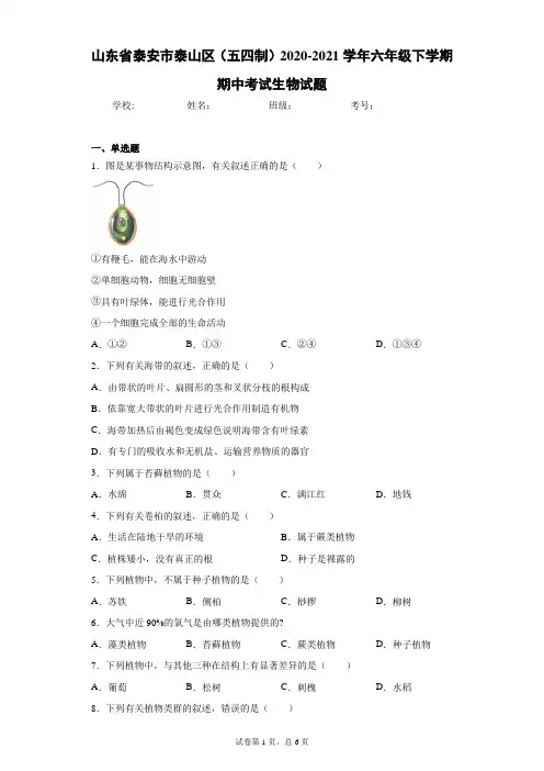 山东省泰安市泰山区(五四制)2020-2021学年六年级下学期期中考试生物试题(word版 含答案)