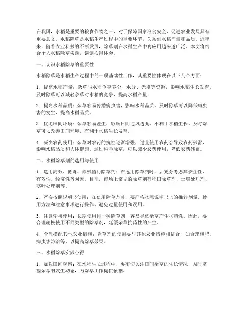 水稻除草实践心得体会