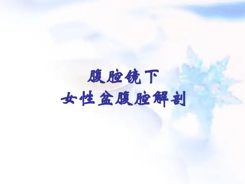 腹腔镜下女性盆腹腔解剖PPT课件