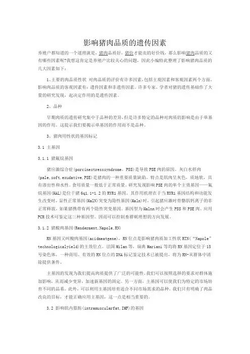 影响猪肉品质的遗传因素1