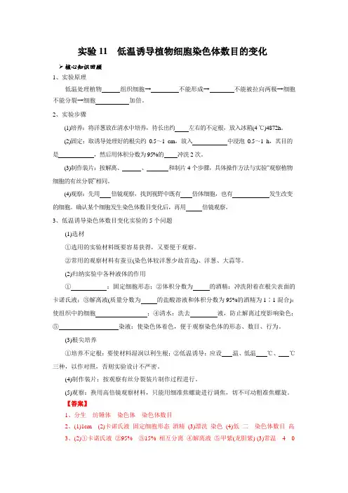 实验11低温诱导植物细胞染色体数目的变化