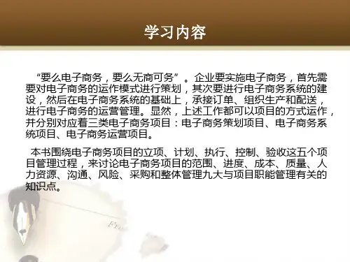 电子商务项目管理概述