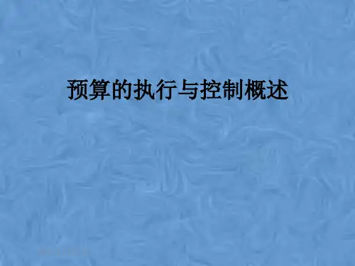 预算的执行与控制概述