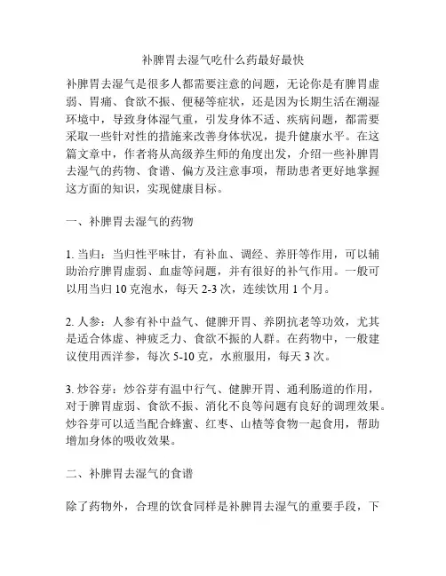 补脾胃去湿气吃什么药最好最快