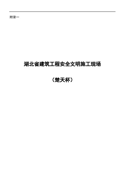 楚天杯、黄鹤杯评审办法及申报表.