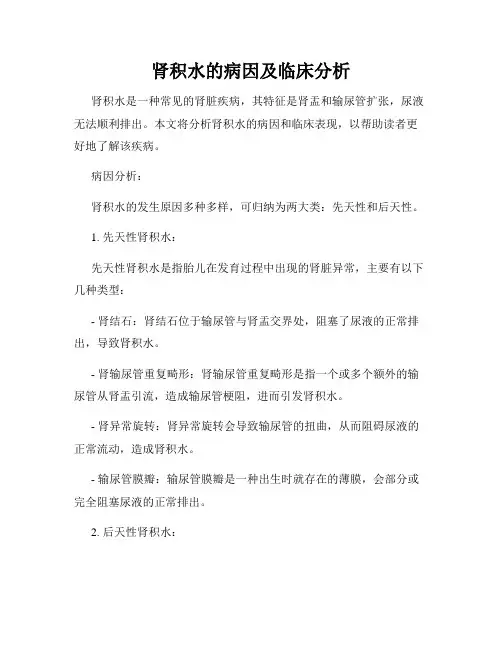 肾积水的病因及临床分析
