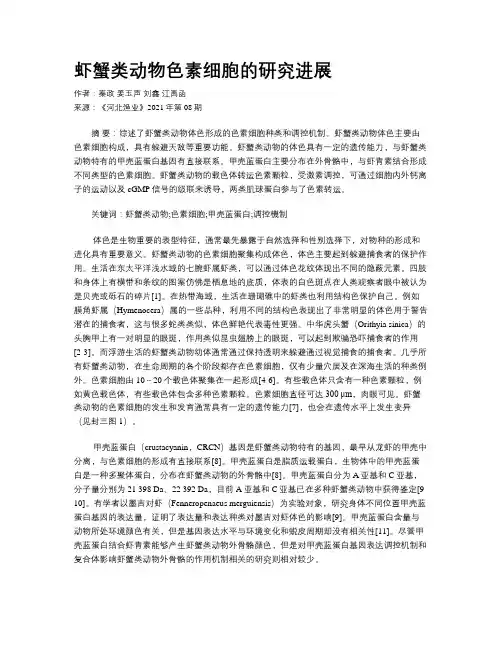 虾蟹类动物色素细胞的研究进展