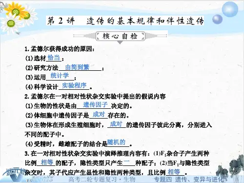 【高考】生物二轮遗传的基本规律和伴性遗传ppt课件