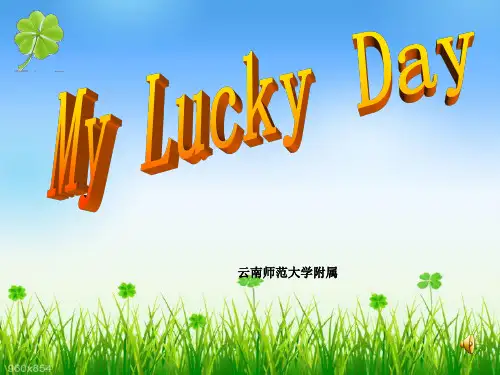 My Lucky Day英语优质课
