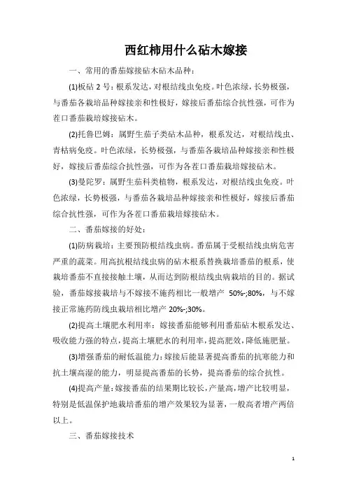 西红柿用什么砧木嫁接