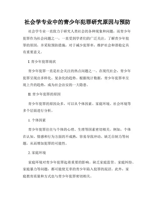 社会学专业中的青少年犯罪研究原因与预防
