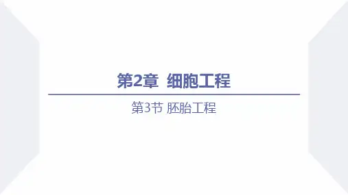 胚胎工程的理论基础(课件)高二生物(人教版2019选择性必修3)