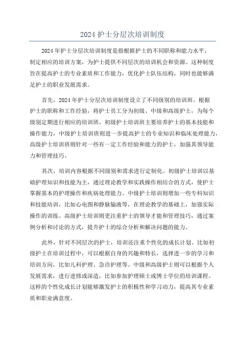 2024护士分层次培训制度