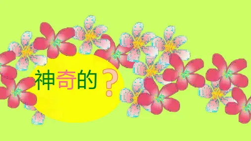 (一上)美术优秀课件-10神奇的果树 ｜广西版 PPT(27页)