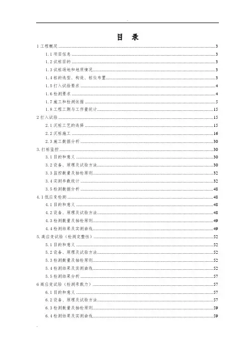 试桩报告完整版