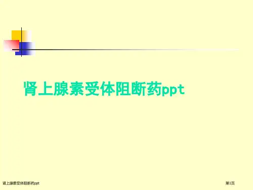 肾上腺素受体阻断药ppt