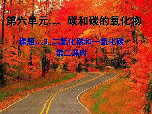九年级化学上册 第6单元 碳和碳的化合物 6.3 二氧化碳和一氧化碳(2)