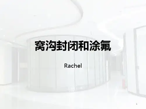 窝沟封闭和涂氟PPT课件