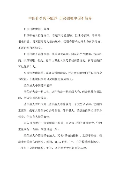 中国什么狗不能养-贝灵顿梗中国不能养