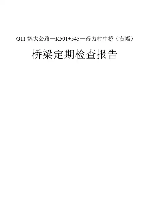 桥梁检测报告(右幅)