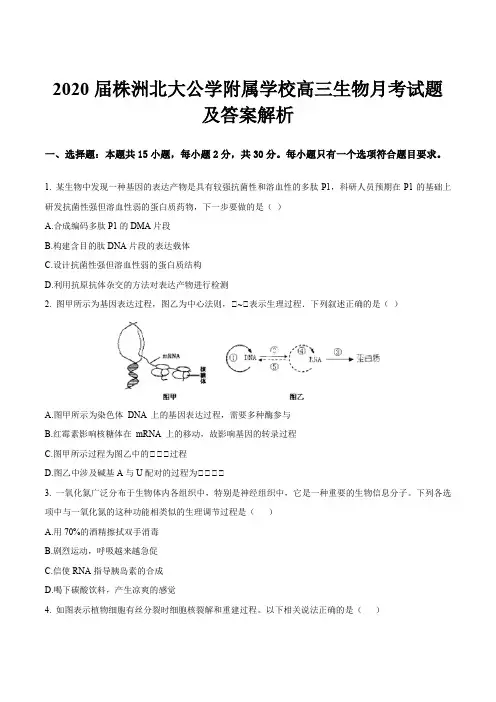 2020届株洲北大公学附属学校高三生物月考试题及答案解析