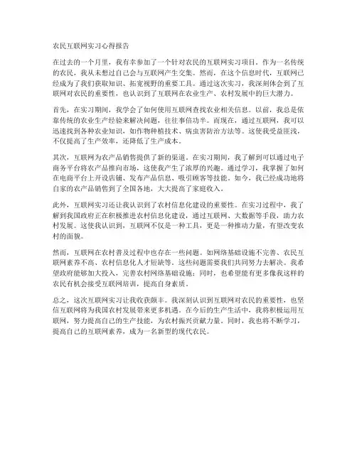 农民互联网实习心得报告