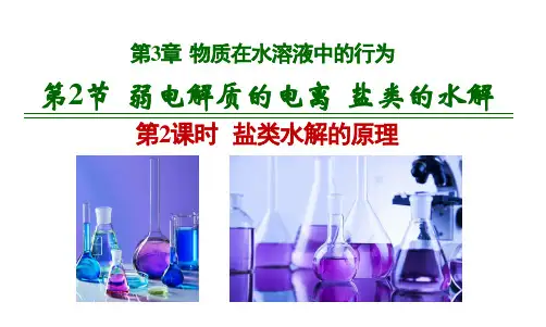 第2课时 盐类水解的原理