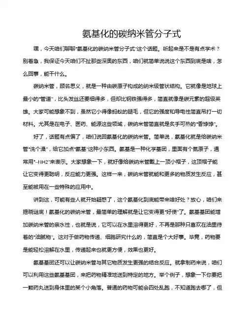 氨基化的碳纳米管分子式
