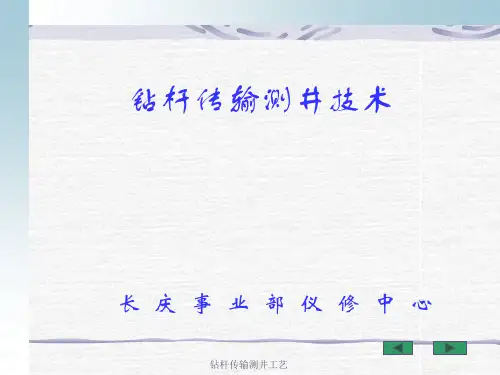 钻杆传输测井工艺 ppt课件