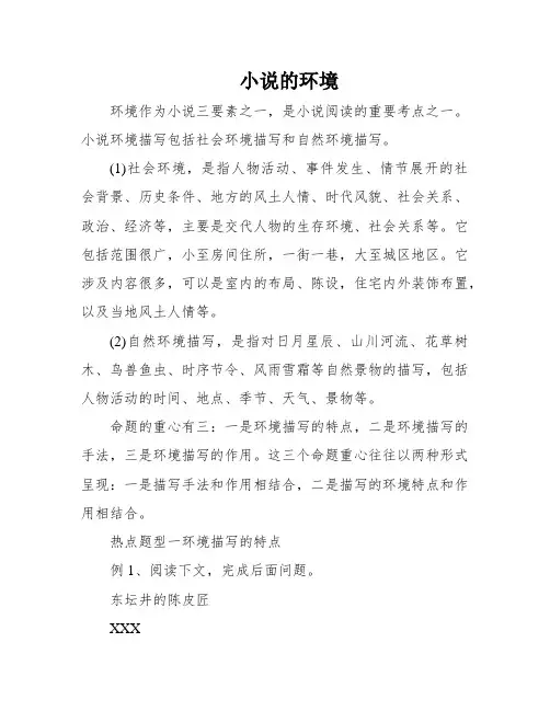 小说的环境