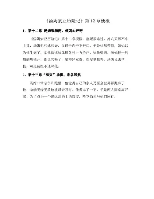 《汤姆索亚历险记》第12章梗概