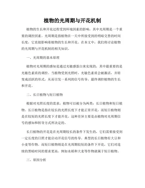 植物的光周期与开花机制