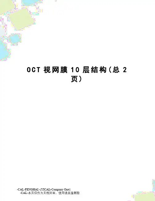 OCT视网膜10层结构