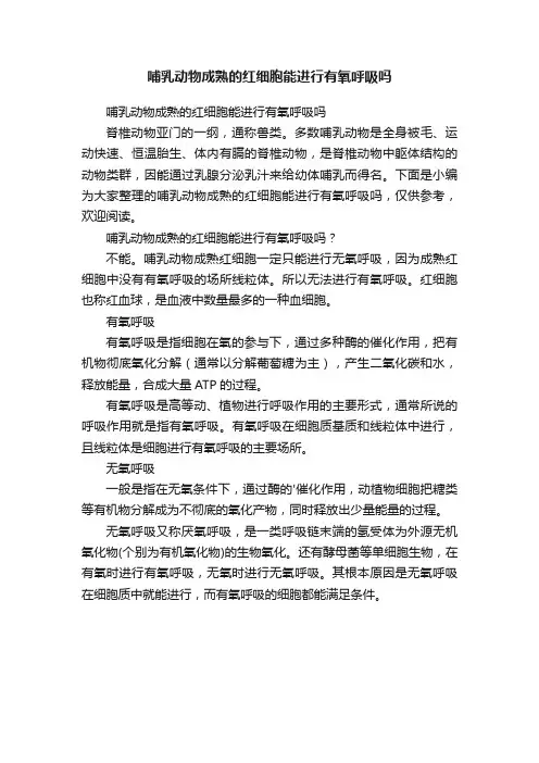 哺乳动物成熟的红细胞能进行有氧呼吸吗