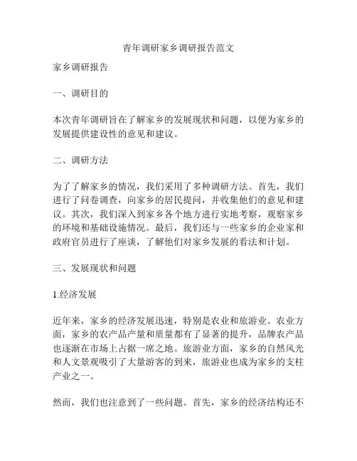 青年调研家乡调研报告范文