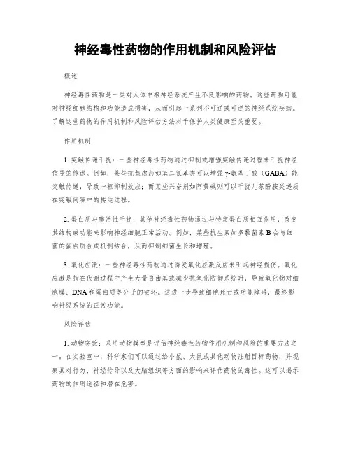 神经毒性药物的作用机制和风险评估