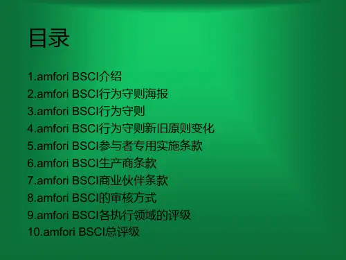 amforiBSCI社会责任标准专业知识培训教材课件