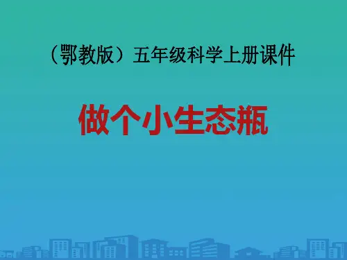 《做个小生态瓶》池塘群落PPT课件2