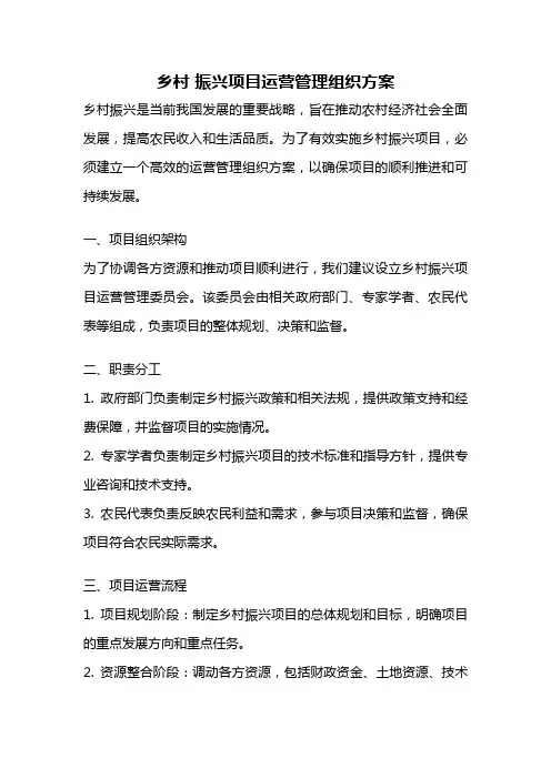 乡村 振兴项目运营管理组织方案