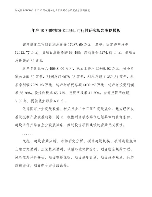 年产10万吨精细化工项目可行性研究报告案例模板