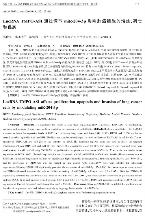 LncRNA TMPO-AS1通过调节miR-204-3p影响肺癌细胞的增殖、凋亡和侵袭