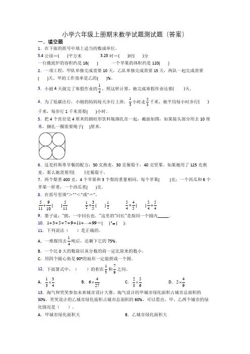 小学六年级上册期末数学试题测试题(答案)