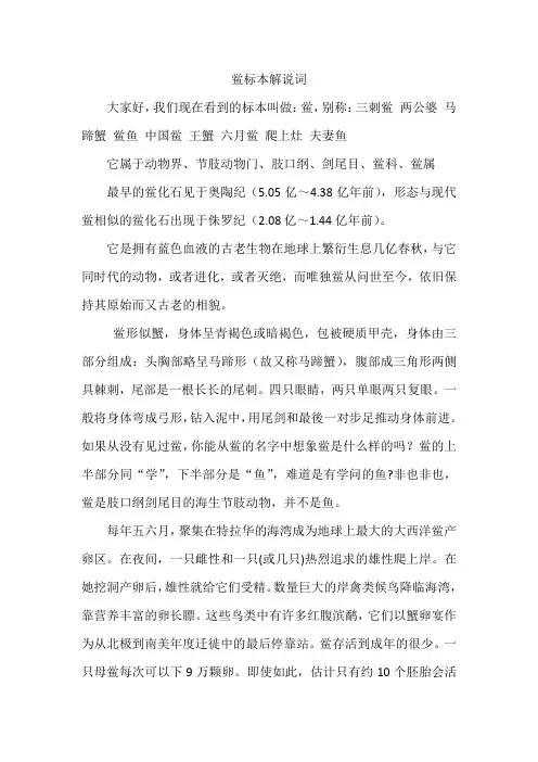 鲎标本解说词